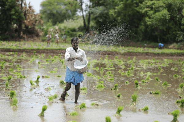 Agricultura familiar na Africa