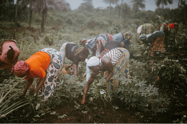 Agricultura familiar na Africa