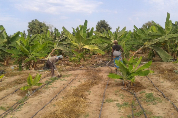 Missionários da Associação Vidas transformadas e SemeAfrica